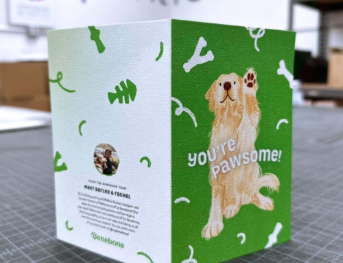 Commercial Graphics – Printed Card + Design For Benebone